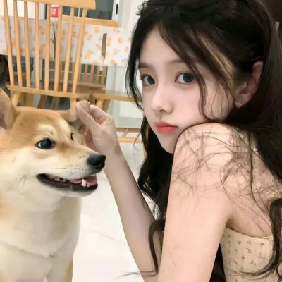 登陆月球
